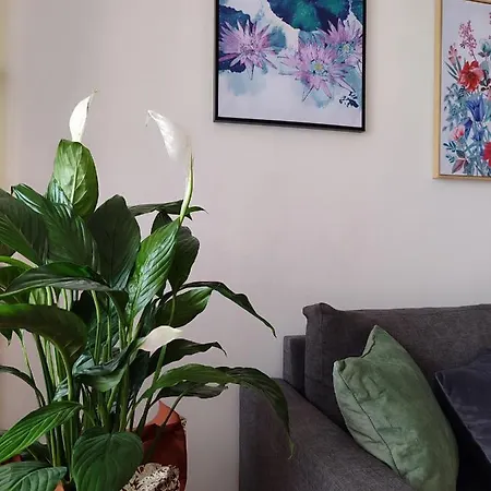 Behar Otoka Sarajevo