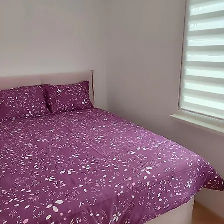 Behar Otoka * Sarajevo